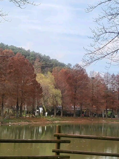 호박꽃집 작품 · 2023.12.09