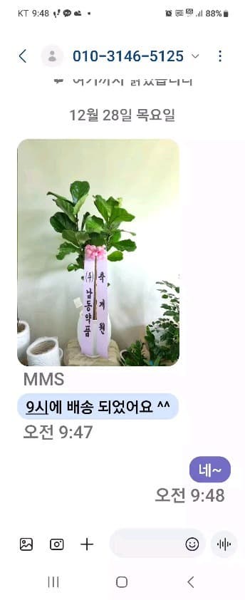 개업화분 취미생활 꽃 꽃공간장식 파티 꽃장식 화훼장식기능사 풍암꽃다발 꽃공간장식 병원 꽃공간장식