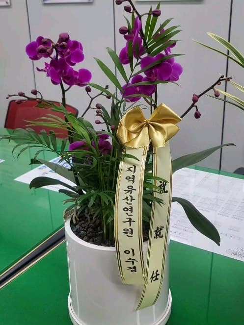 취임 화분 개업화분