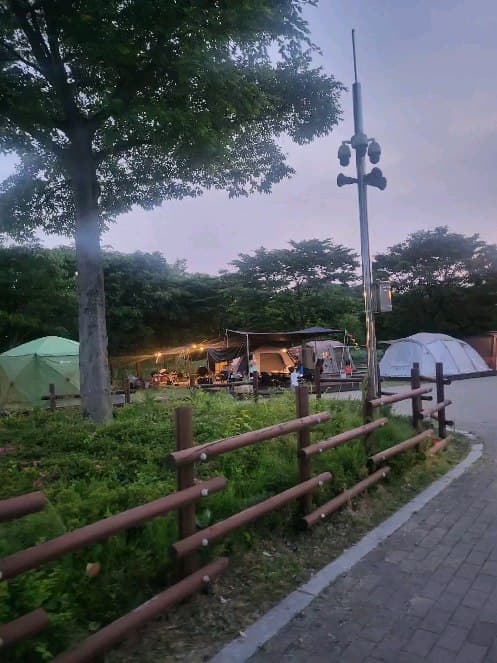 호박꽃집 작품 · 2024.05.27