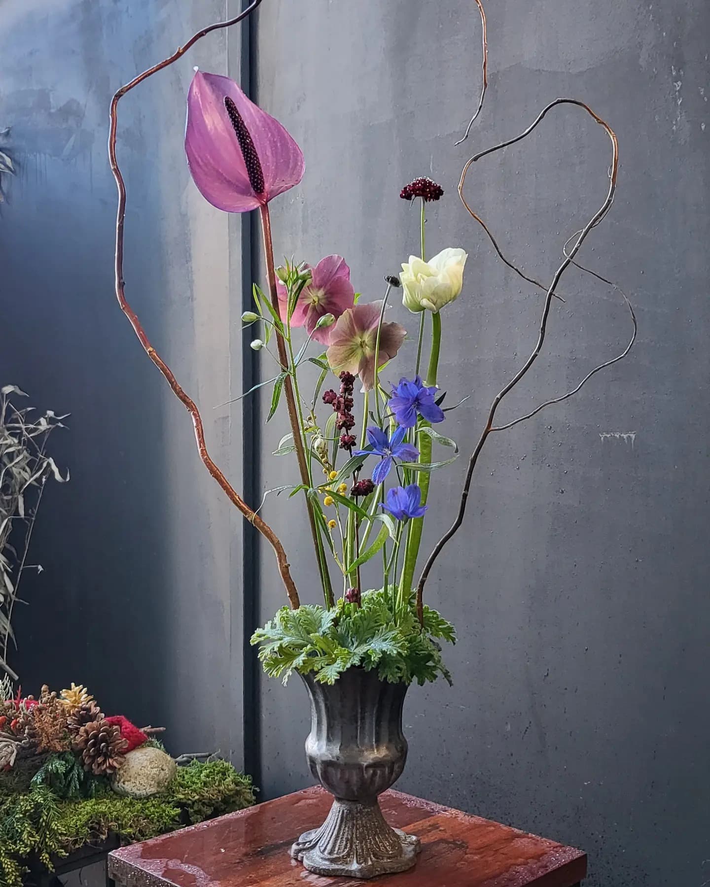 h flower