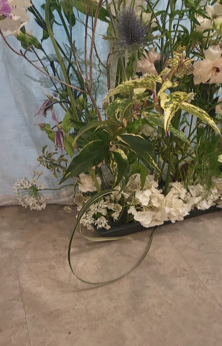 자연사랑