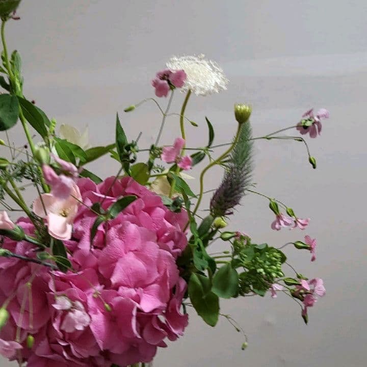 화병아닌