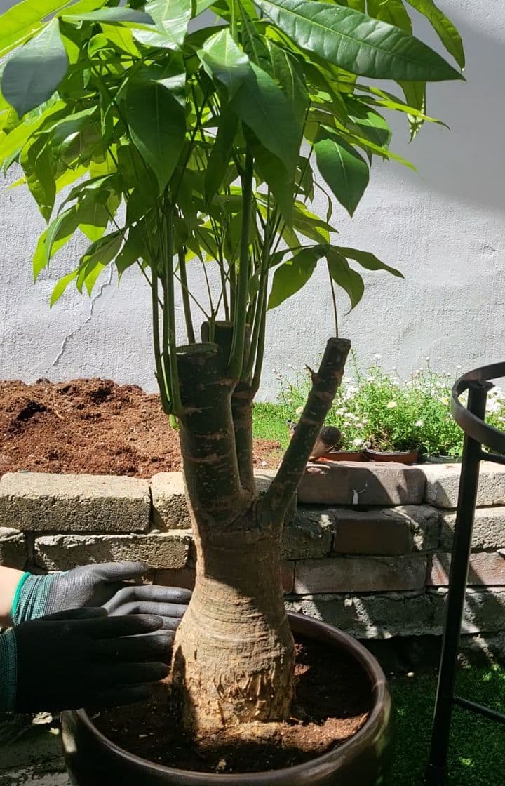 꼼꼼하게