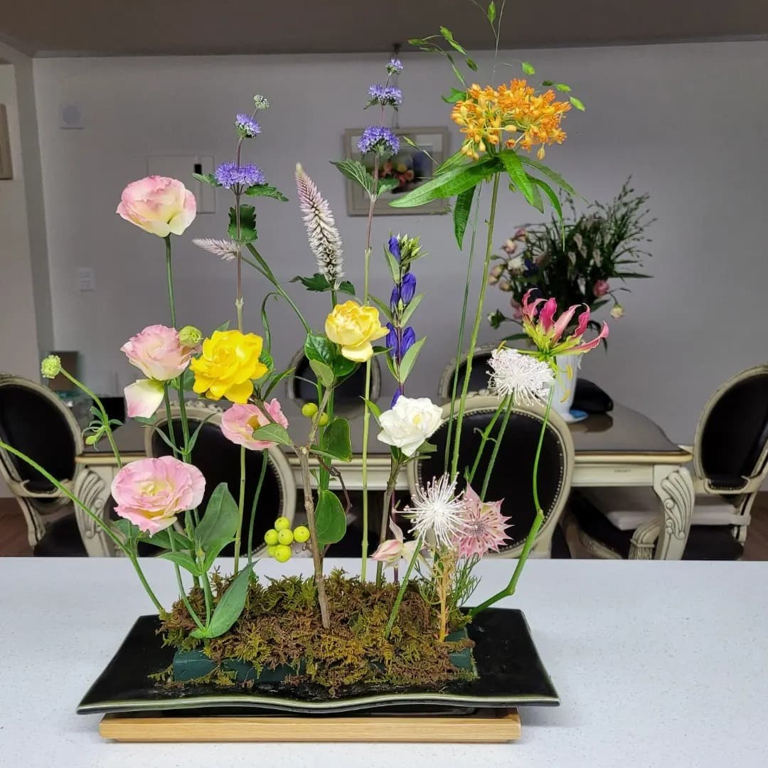 사각화기