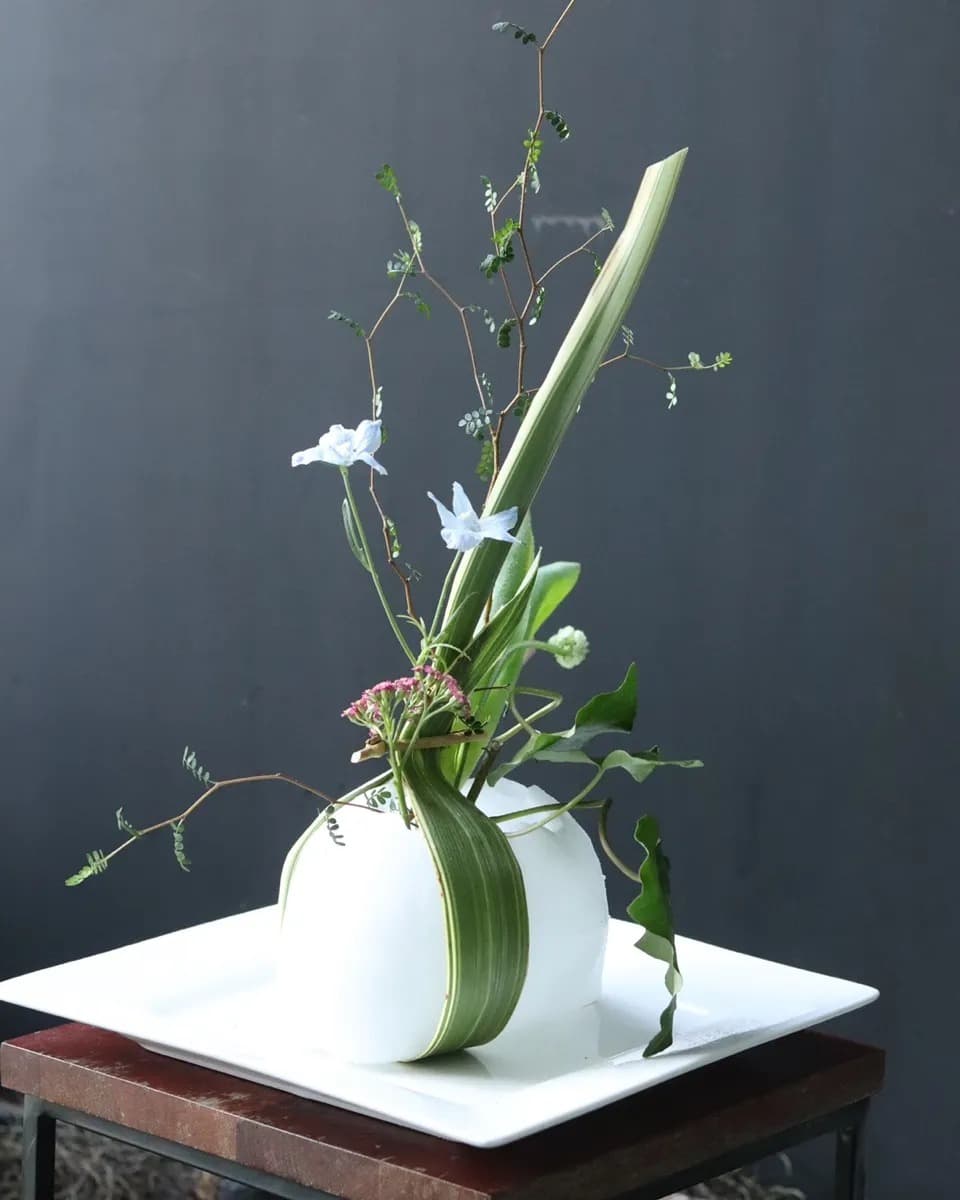수족냉증