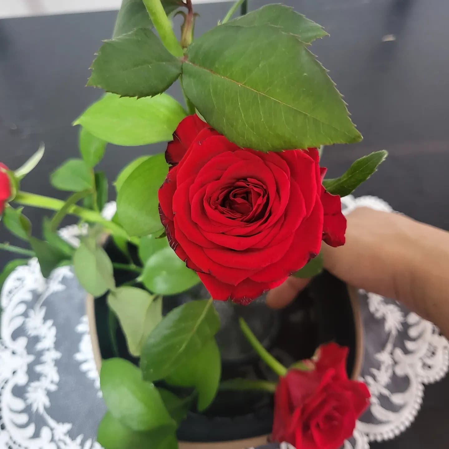 제주한달