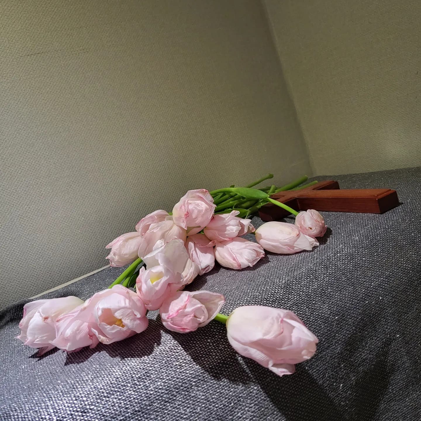 수분크림