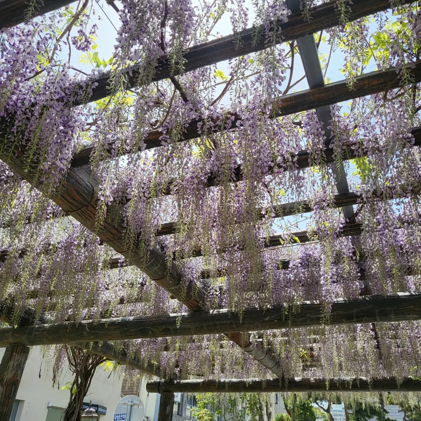 참으로 오랫만에