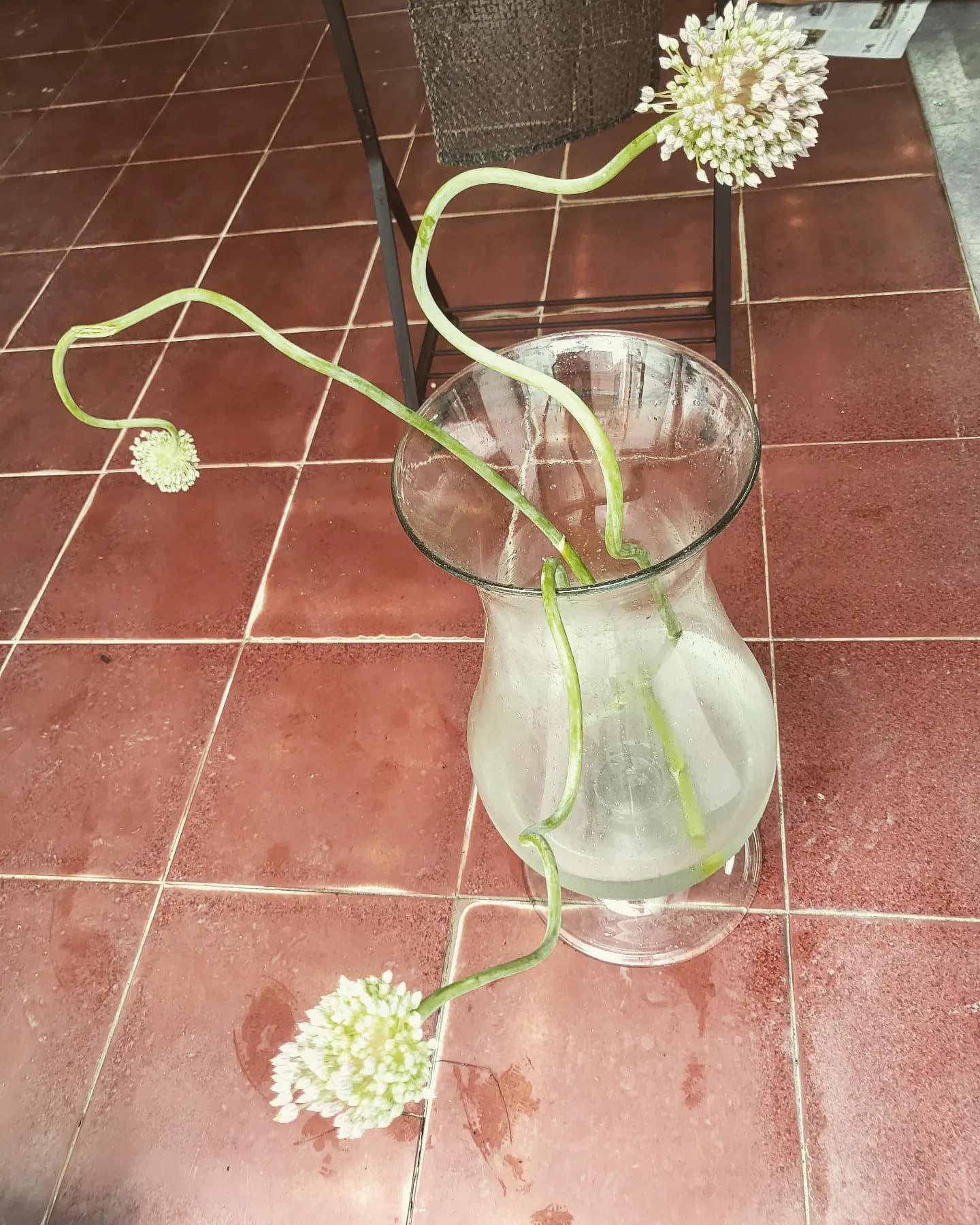 라인딴스