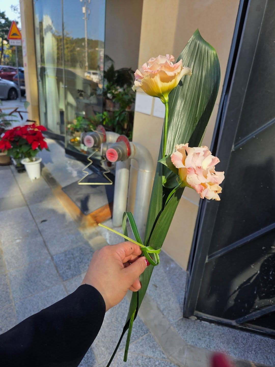 소형다발 한송이포장 자연포장 효천동꽃집 고급스러운 포장