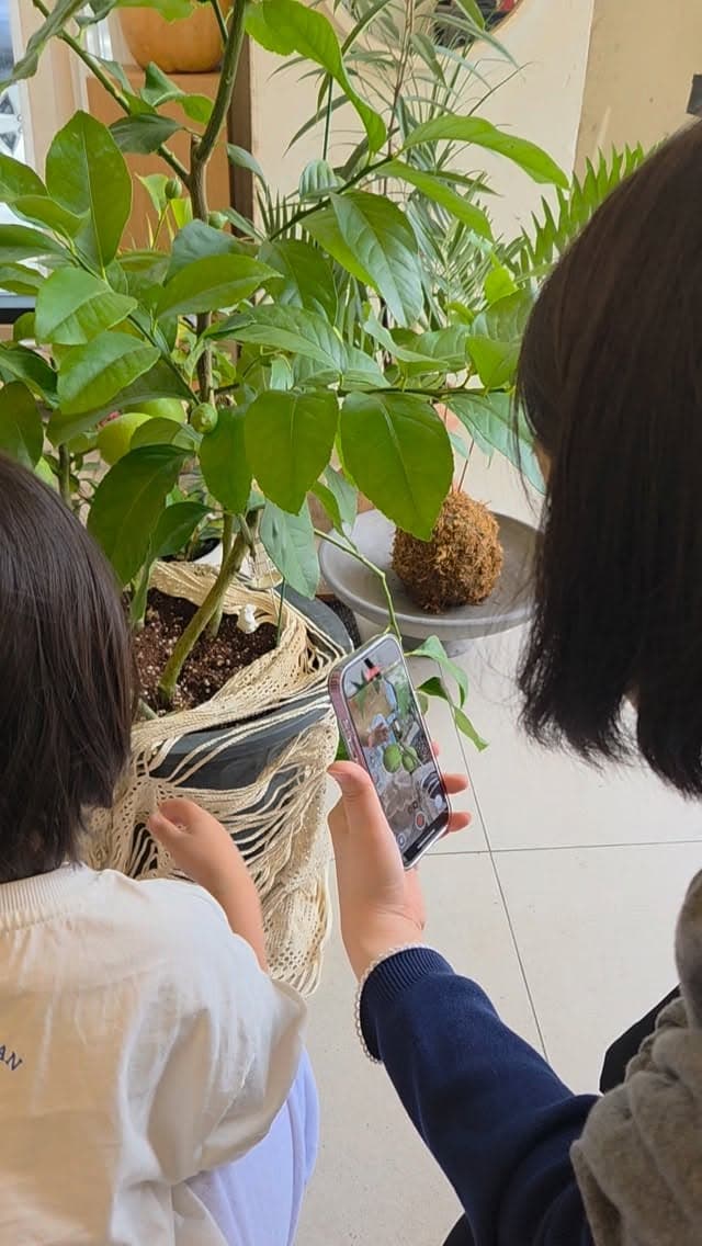 수확의 계절
