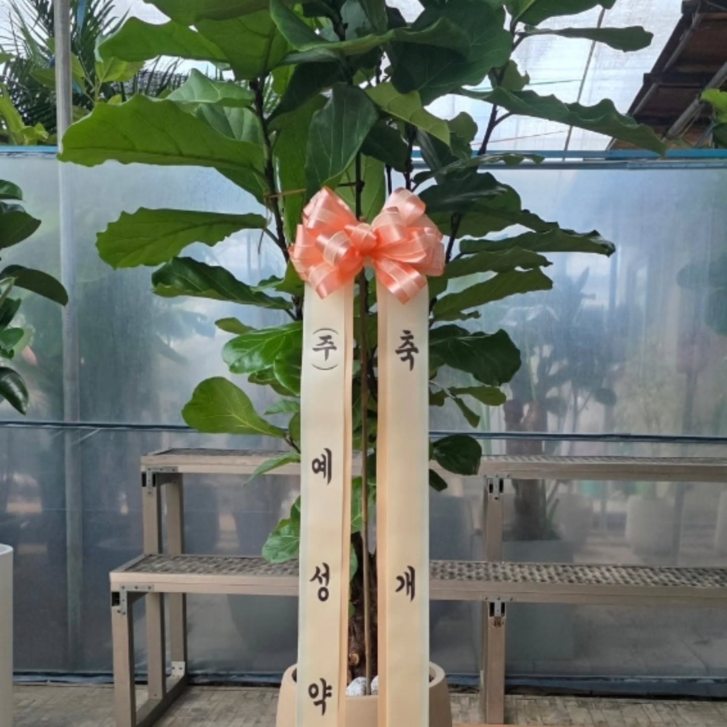 통큰 선물