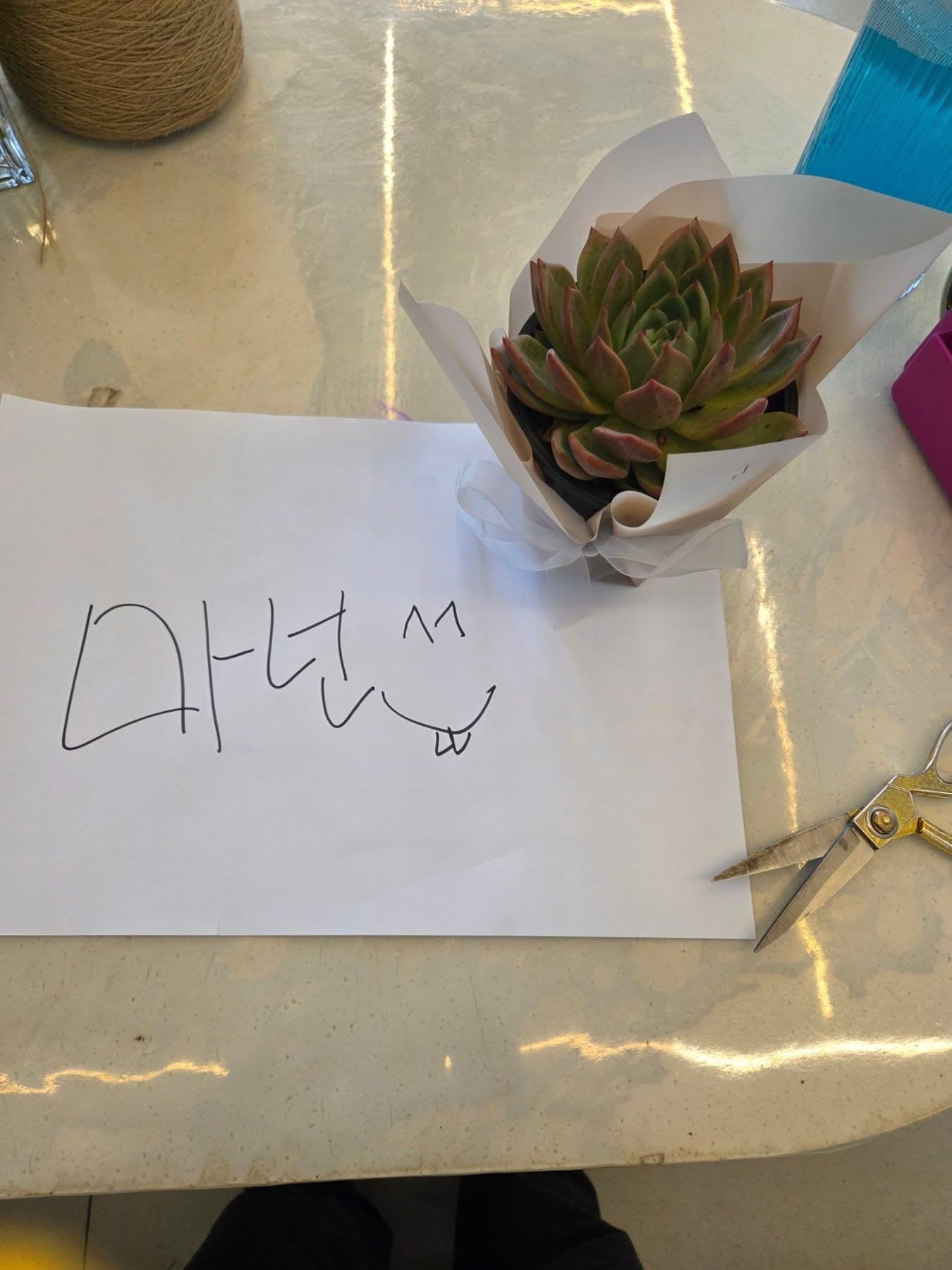 특별할인