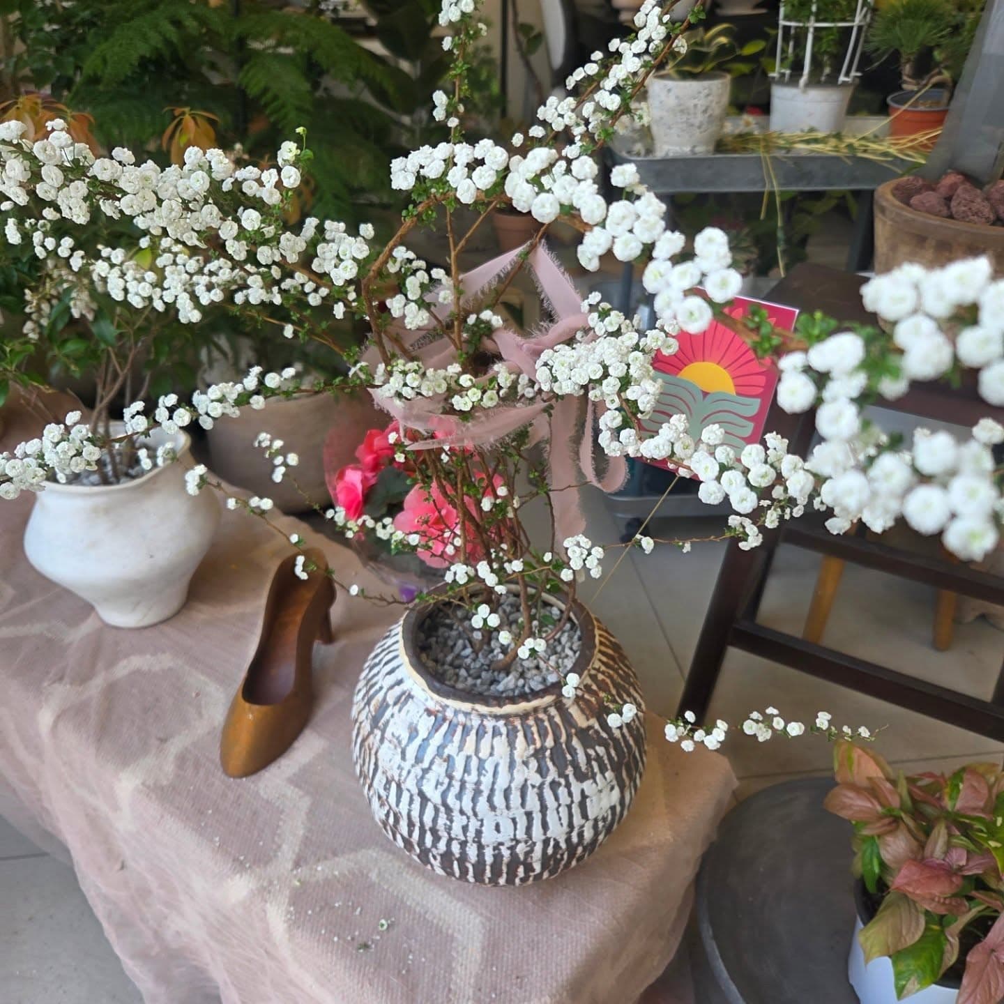 장미조팝