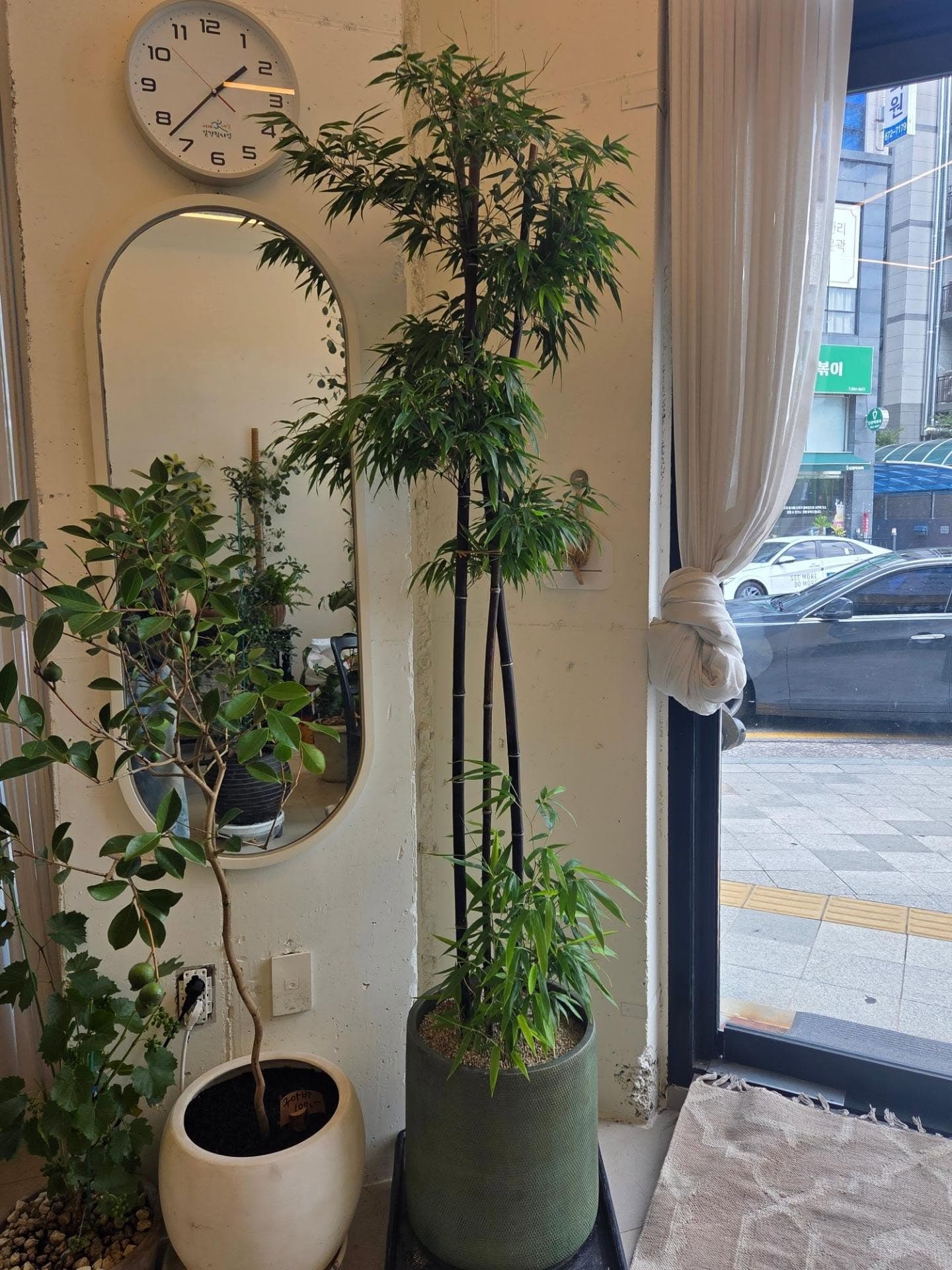 까페어울리는 나무들이 많은 집