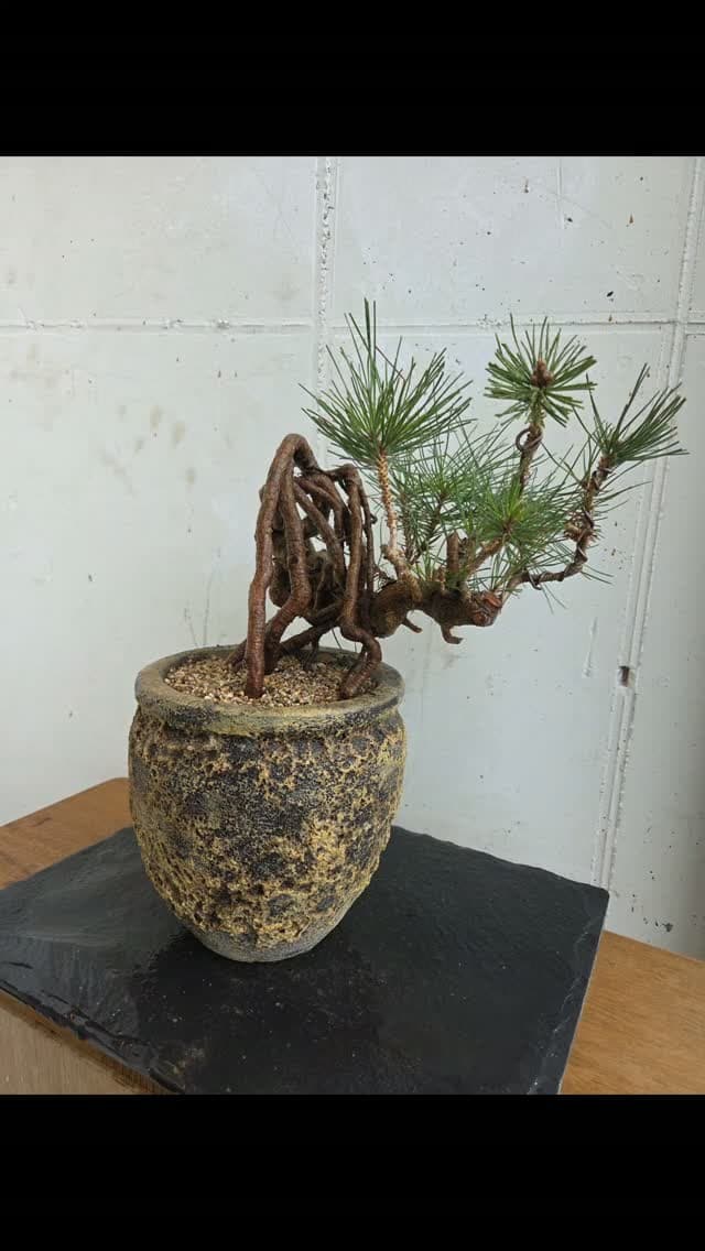 전시회 선물