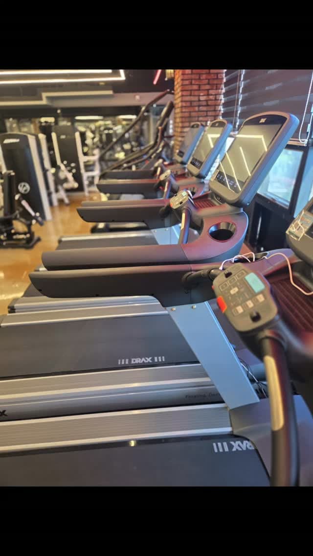 오디세이아