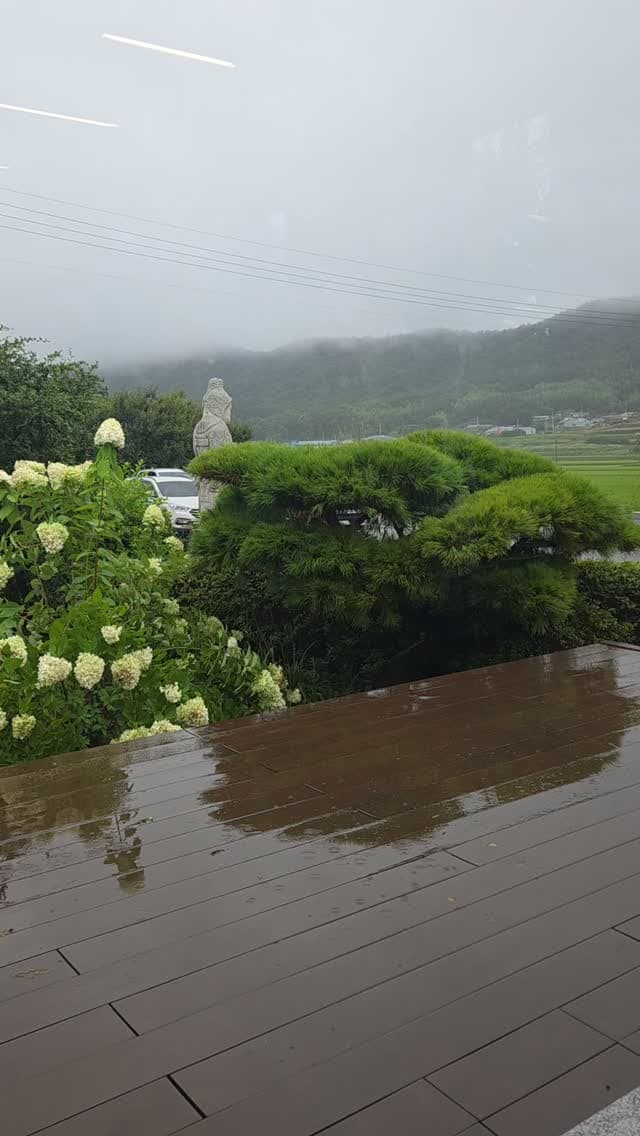 호박꽃집 작품 · 2026.08.16