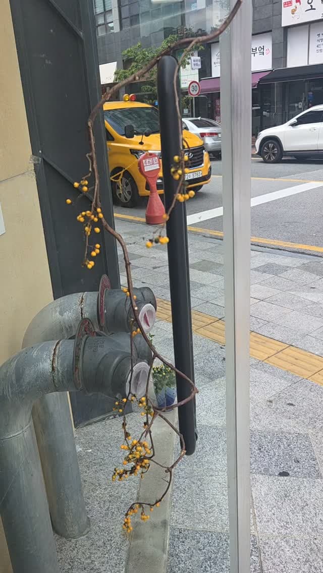 빨래 말려요~ ㅋ