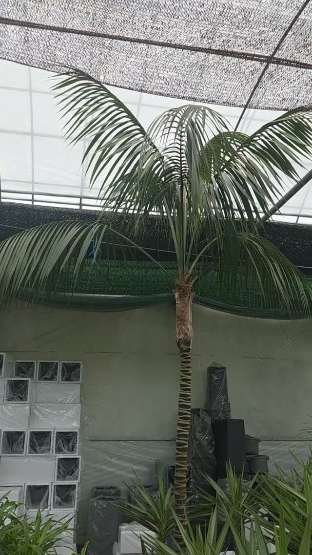 오늘도 새로운 식물들로