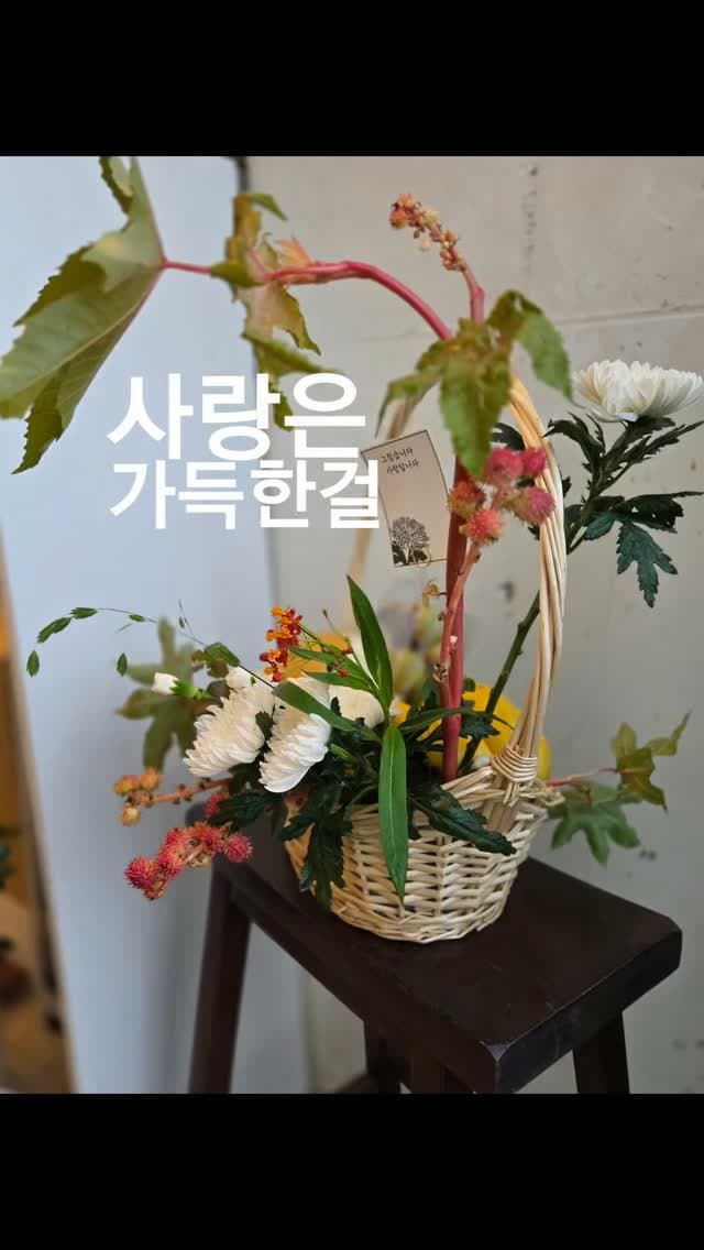 호박꽃집 작품 · 2026.08.27