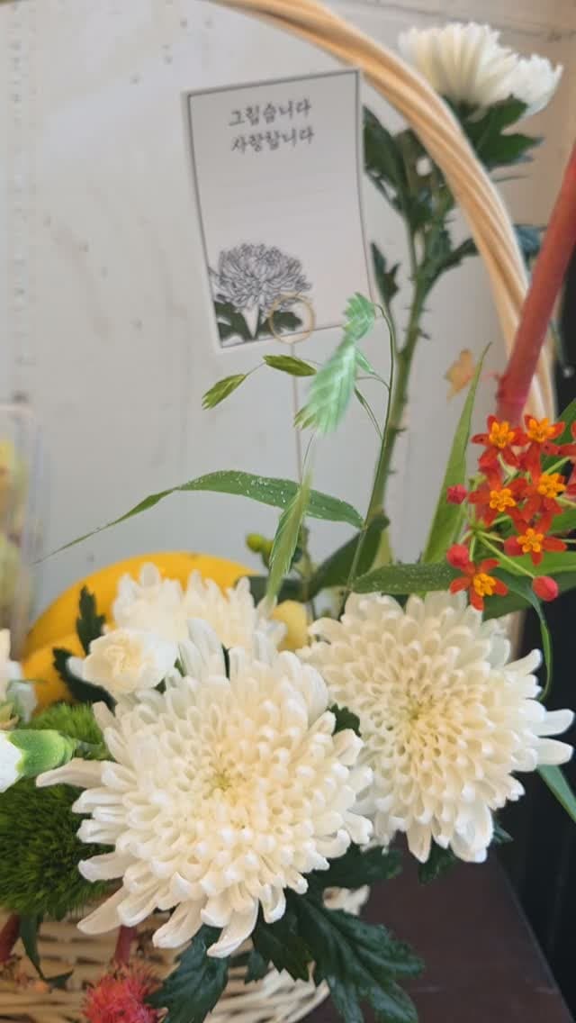 성묘 가시는
