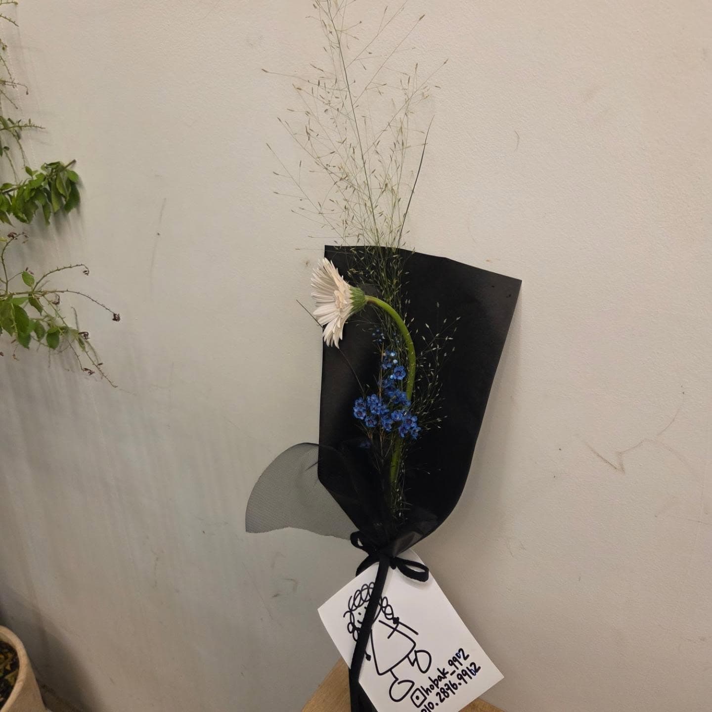 송원대학교